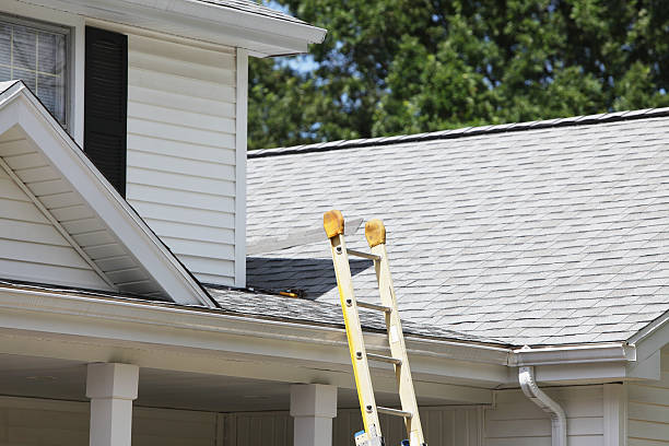 Best Shed Removal  in Rotonda, FL